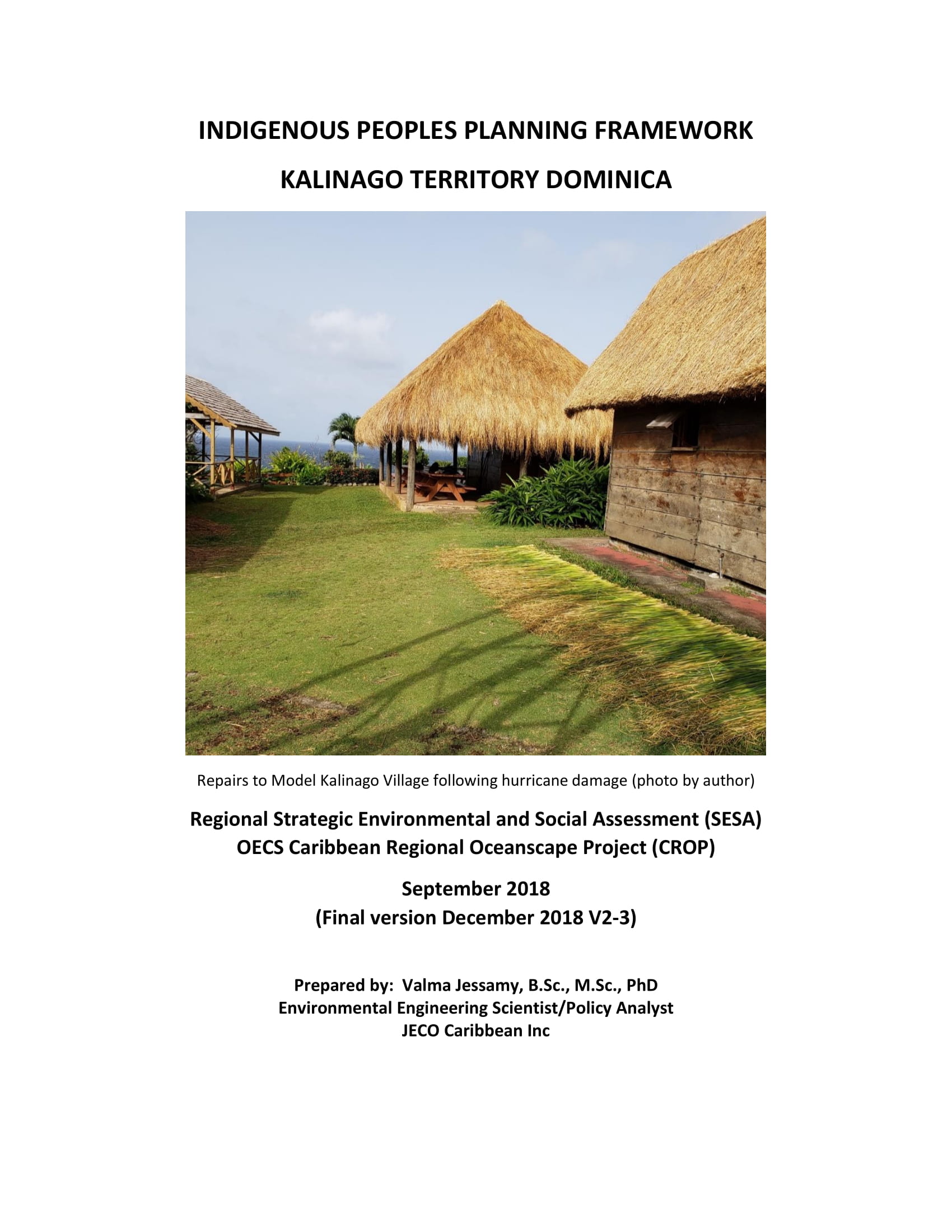 Indigenous Peoples Planning Framework Revision 2-3 December 2018